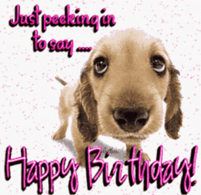 Dog Peeking In To Say Happy Birthday GIF