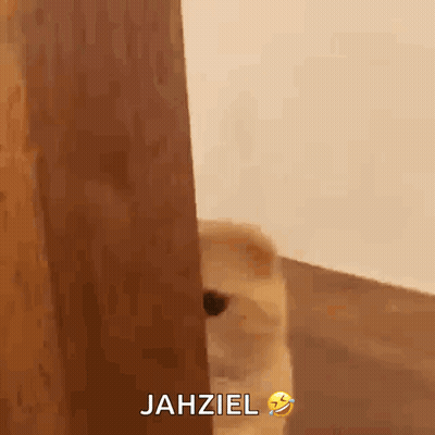 Dog Peeking Out Behind Wooden Door Jahziel GIF