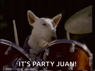 Dog Playing Drums Saying It's Party Juan GIF