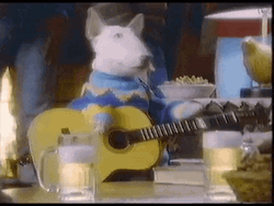 Dog Playing Guitar Rock Star GIF
