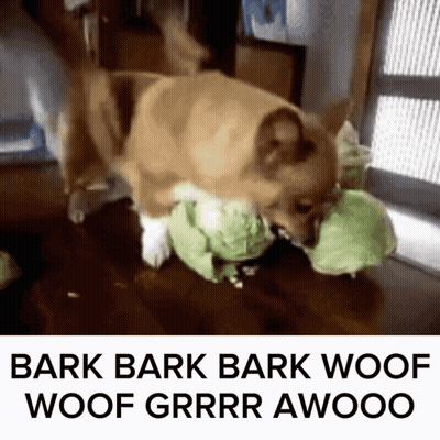 Dog Playing Stuffed Animal Bark Woof Grr Awoo GIF