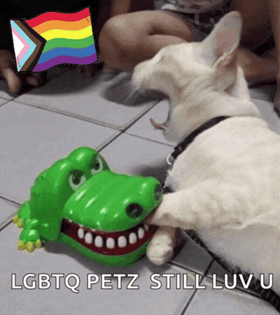 Dog Playing With Toy Crocodile LGBTQ Petz Still Luv U GIF