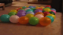 Dog Popping Balloons GIF