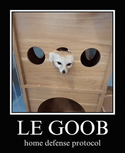 Dog Poster Le Goob Home Defense Protocol GIF