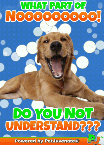 Dog Poster Saying What Part Of Nooo GIF