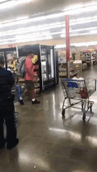 Dog Pushing The Cart At Walmart Funny GIF