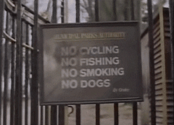 Dog Riding Cycle Slow GIF