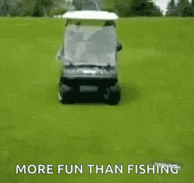 Dog Riding Golf Cart On Grassy Field GIF