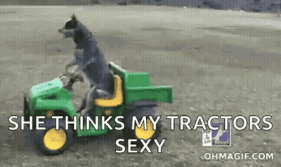 Dog Riding Green Tractor She Thinks My Tractor's Sexy GIF