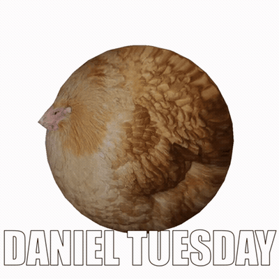 Dog Roti Belongs To Daniel GIF