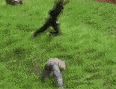 Dog Running Down Grassy Hill With Crowd GIF
