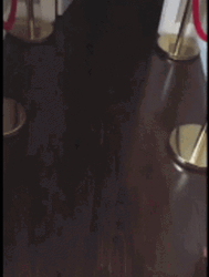 Dog Running Fall On The Stairs GIF