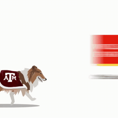 Dog Running In Front Of Texas Sign GIF