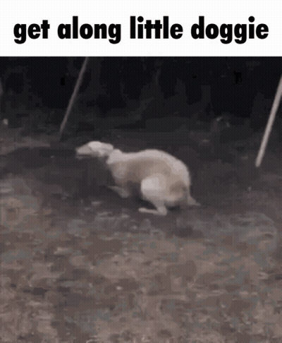 Dog Running On Dirt Road Get Along Little Doggie GIF