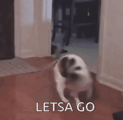 Dog Running Through Doorway Saying Let's Go GIF