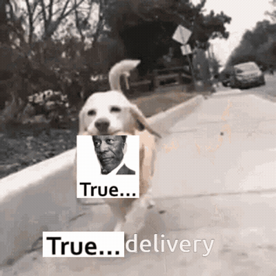 Dog Running With Man And True Delivery GIF