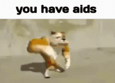 Dog Running With You Have Aids GIF