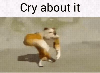Dog Saying Cry About It GIF