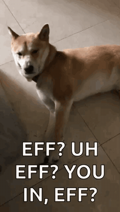 Dog Saying Eff Uh Eff You GIF