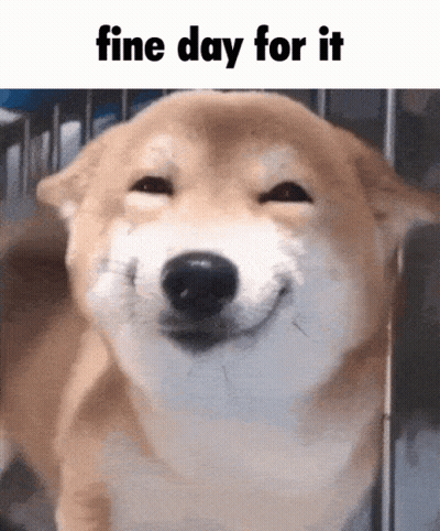 Dog Saying Fine Day For It GIF