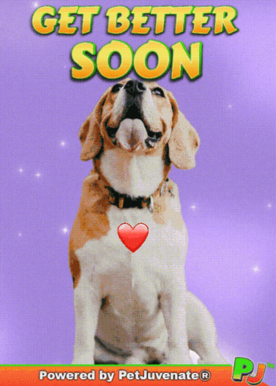 Dog Saying Get Better Soon GIF