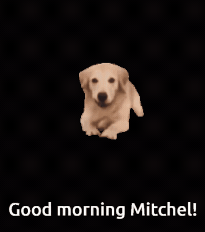 Dog Saying Good Morning Mitchel GIF