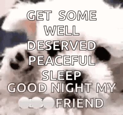 Dog Saying Good Night GIF