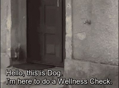 Dog Saying Hello Wellness Check At Door GIF