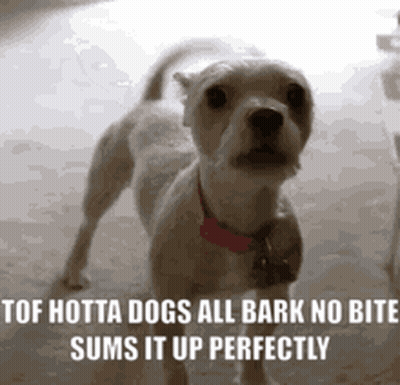 Dog Saying Hotta Dogs All Bark No Bite GIF