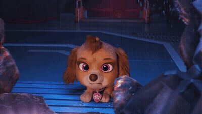 Dog Saying I Didnt Do It GIF