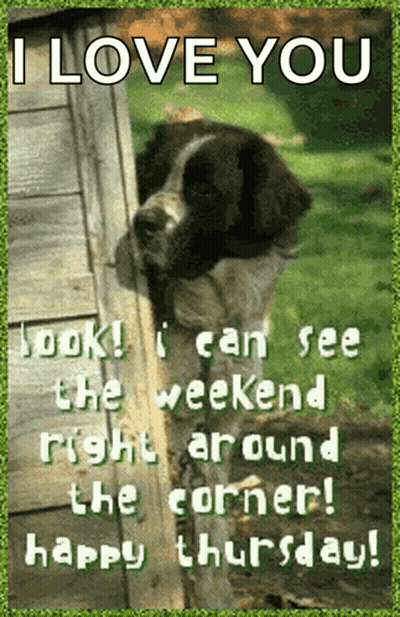 Dog Saying I Love You GIF