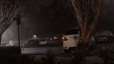 Dog Saying I'm So Very Proud Of You GIF