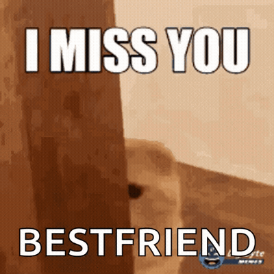 Dog Saying I Miss You Bestfriend GIF