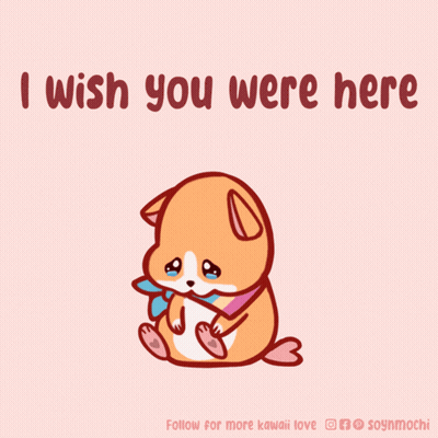 Dog Saying I Wish You Were Here GIF