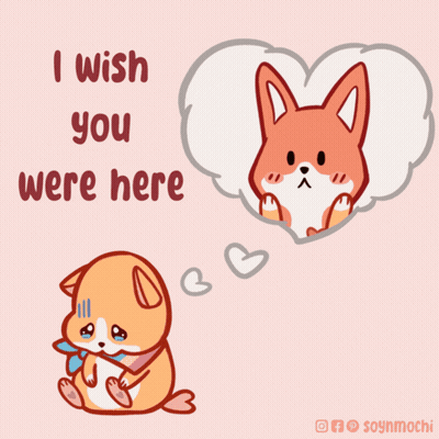 Dog Saying I Wish You Were Here GIF