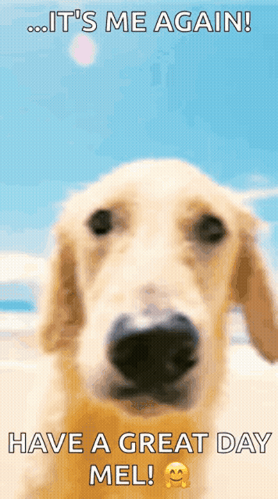 Dog Saying It's Me Again Have Great Day GIF