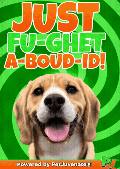 Dog Saying Just Fu Ghet A-Boud-Id GIF