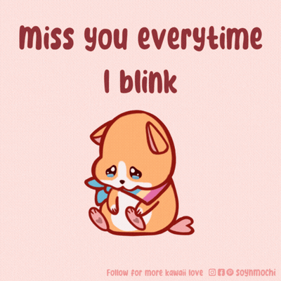 Dog Saying Miss You Everytime I Blink