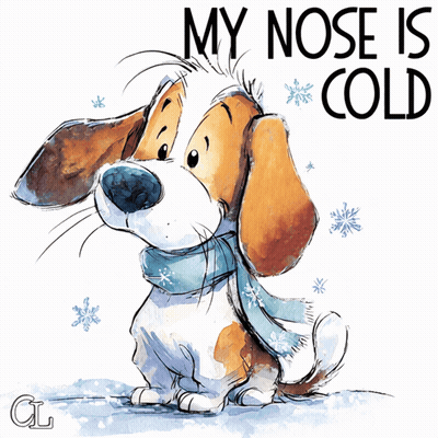 Dog Saying My Nose Is Cold GIF