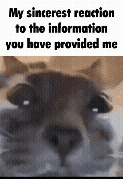 Dog Saying My Sincerest Reaction To The Information You Have Provided Me GIF
