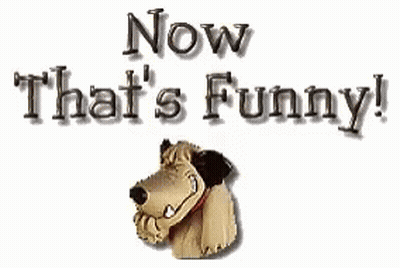 Dog Saying Now That's Funny GIF