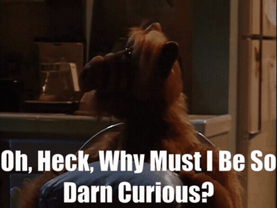 Dog Saying Oh Heck Why Must I Be So Darn Curious GIF