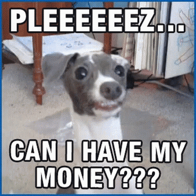 Dog Saying Pleeeeez Can I Have My Money GIF