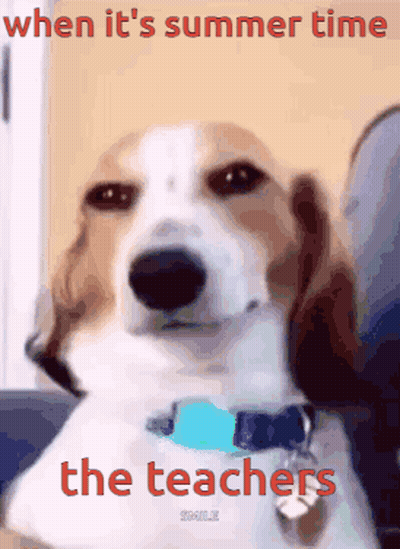 Dog Saying Summer Time Teachers GIF