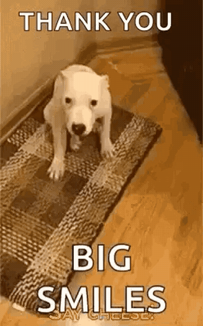 Dog Saying Thank You Big Smiles GIF