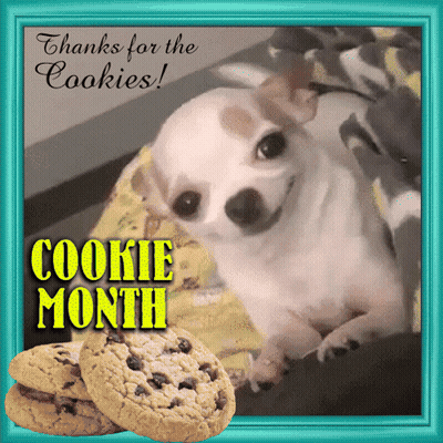 Dog Saying Thanks For The Cookies GIF