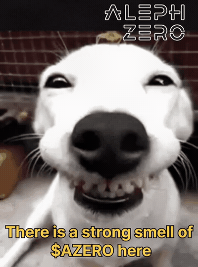 Dog Saying There Is A Strong Smell Of $ Azero Here GIF