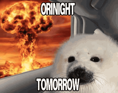 Dog Saying Tomorrow GIF