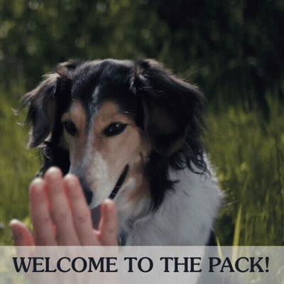 Dog Saying Welcome to the Pack