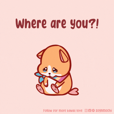 Dog Saying Where Are You GIF